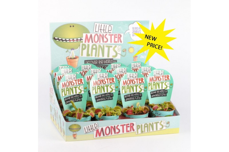 Vleesetende planten dionaea - little monster plants 
