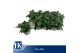Pentas graffiti white 