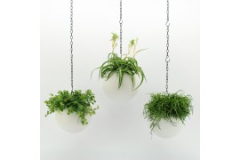 Arrangementen kamerplanten Globee Indoor Smit Mix 116 1 pp