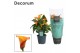 Zantedeschia morning sun decorum oranje 