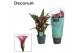 Zantedeschia zazu decorum roze 