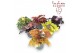 Heuchera indian summer mix laag 