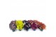 Heuchera indian summer mix laag 