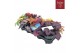 Heuchera indian summer mix tray 
