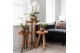 Arrangementen kamerplanten Kolibri Green up your home - Gift Set - Int 