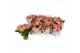 Hydrangea macr. elfy 3-5 Bloem 