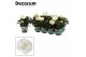 Hibiscus rosa-sinensis sunny st tropez Decorum wit 