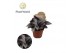 Begonia blad magic colours silver limbo Begonia rex Silver Limbo 8,5cm 