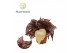 Begonia blad magic colours spitfire Begonia rex Spitfire 12cm 3 pp 