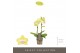Phalaenopsis multiflora geel Optifriend yellow 2spike 