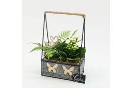 Arrangementen kamerplanten MDCR-2520W Moederdag creatie 2 pp