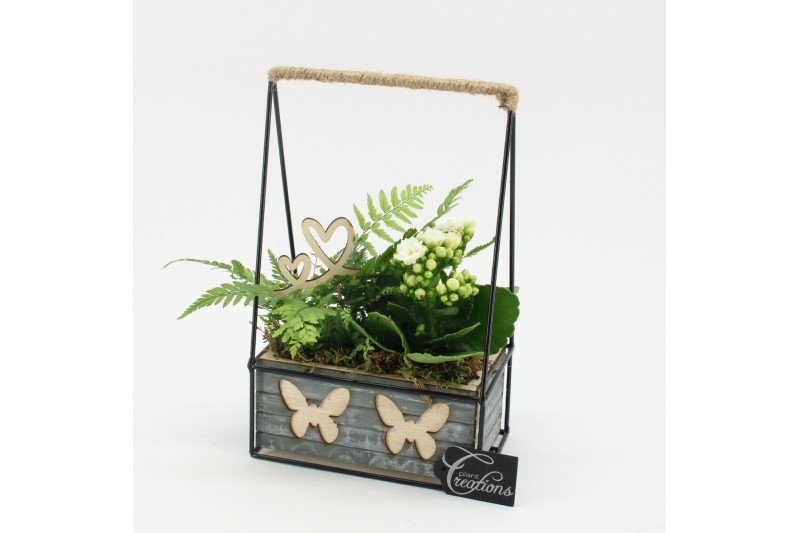 Arrangementen kamerplanten MDCR-2520W Moederdag creatie 2 pp Arrangementen kamerplanten MDCR-2520W Moederdag creatie 2 pp