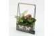 Arrangementen kamerplanten MDCR-2520RZ Moederdag creatie 2 pp 