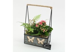 Arrangementen kamerplanten MDCR-2520RZ Moederdag creatie 2 pp