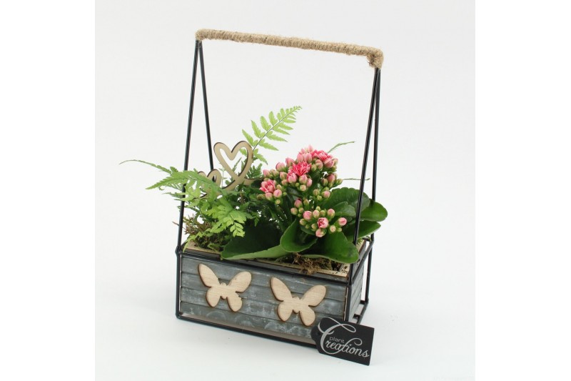Arrangementen kamerplanten MDCR-2520RZ Moederdag creatie 2 pp 