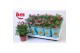 Rosa beau monde sparkling jewel roze 