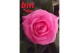 Rosa beau monde sparkling jewel roze 