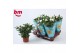 Rosa beau monde white jewel wit 