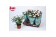 Rosa beau monde baby jewel licht roze 