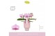 Phalaenopsis multiflora roze Amorosso Merlini P7 in Emilia Pink Aquo 1 