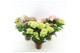 Hydrangea macr. mix Mix 7-8 Bloem 