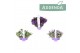 Campanula addenda mixkar 3-pack 