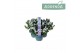 Campanula port. ambella white addenda 3-pack 