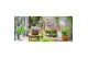 Orchideeën mix Garden Orchid - Mix - 3-5+ tak 