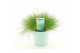 Festuca gautieri amigreen 