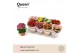 Kalanchoe grandiva mix Kalanchoe Mix P12 Queen 1 pp 13 cm diameter 25  