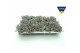 Sedum spathulifolium purpureum Sedum Purpureum p8,5 XL 
