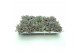 Sedum spathulifolium purpureum Sedum Purpureum p8,5 XL 