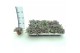 Sedum spathulifolium purpureum Sedum Purpureum p8,5 XL 