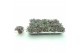 Sedum spathulifolium purpureum Sedum Purpureum p8,5 XL 