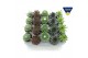 Sempervivum mix 