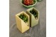 Arrangementen succulenten TRULY Succulent, Meles concrete moss - Green 