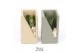 Arrangementen succulenten TRULY Succulent, Meles concrete moss - Green 