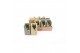 Arrangementen succulenten TRULY Succulent, Meles concrete moss - Green 