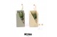 Arrangementen succulenten TRULY Succulent, Meles concrete moss - Green 