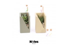 Arrangementen succulenten TRULY Succulent, Meles concrete moss - Green