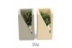 Arrangementen succulenten TRULY Crassula, Meles concrete moss - Green  