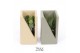 Arrangementen succulenten TRULY Succulent, Meles concrete - Green Beig 
