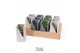 Arrangementen succulenten TRULY Succulent, Meles concrete - Green Beig 