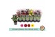 Chrysanthemum ind. mix Chrysant Classic Mix - Without White 