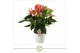Anthurium andr. livium red 