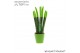 Sansevieria velvet touchz groen keramiek 
