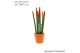 Sansevieria velvet touchz oranje keramiek 