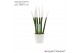 Sansevieria velvet touchz wit keramiek 