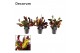 Codiaeum variegatum mammi Croton Mammi kopstek 7 cm (Decorum) 1 pp 