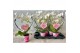 Phalaenopsis Hartvorm - Potcover + Etiket 